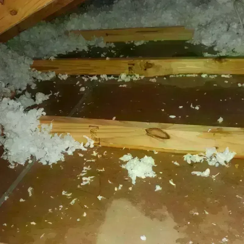 Attic Water Damage in Armona, CA