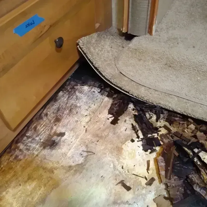 Wood Floor Water Damage in Armona, CA